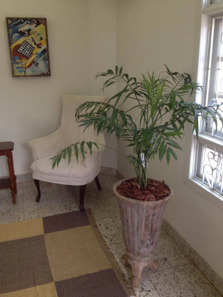 Casa, 3 quartos, 550 m² - Foto 33