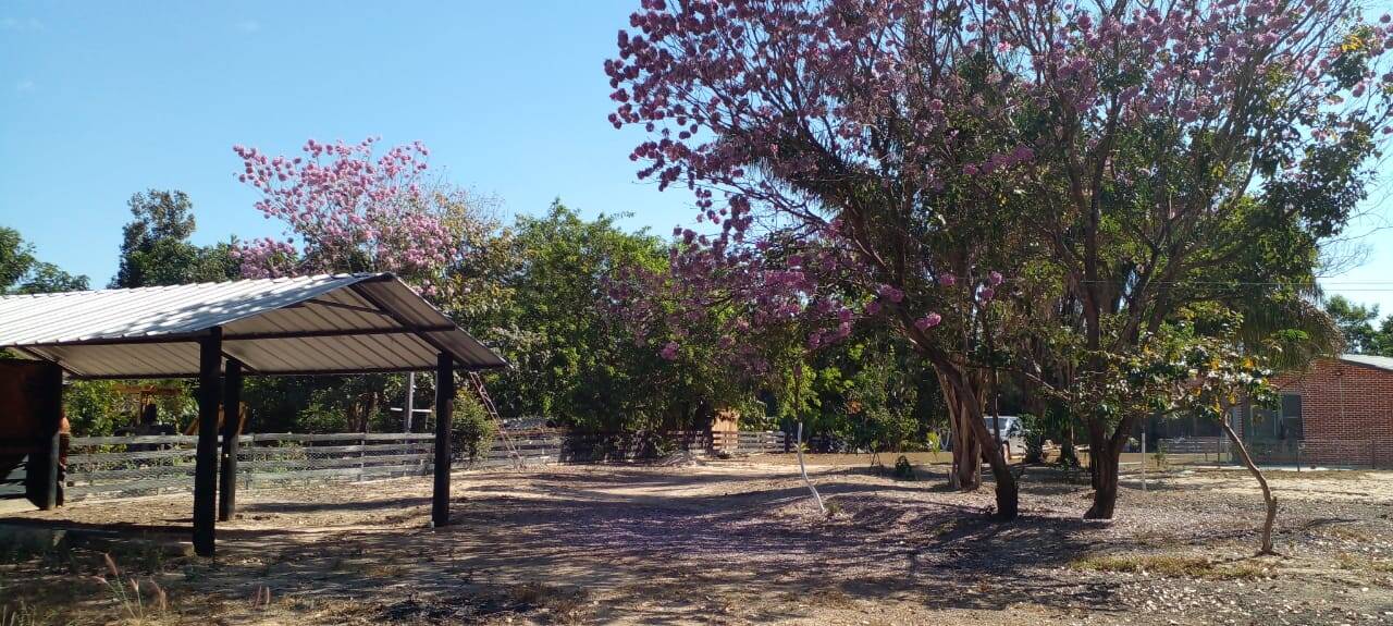 Sítio, 2 quartos, 4890 m² - Foto 4