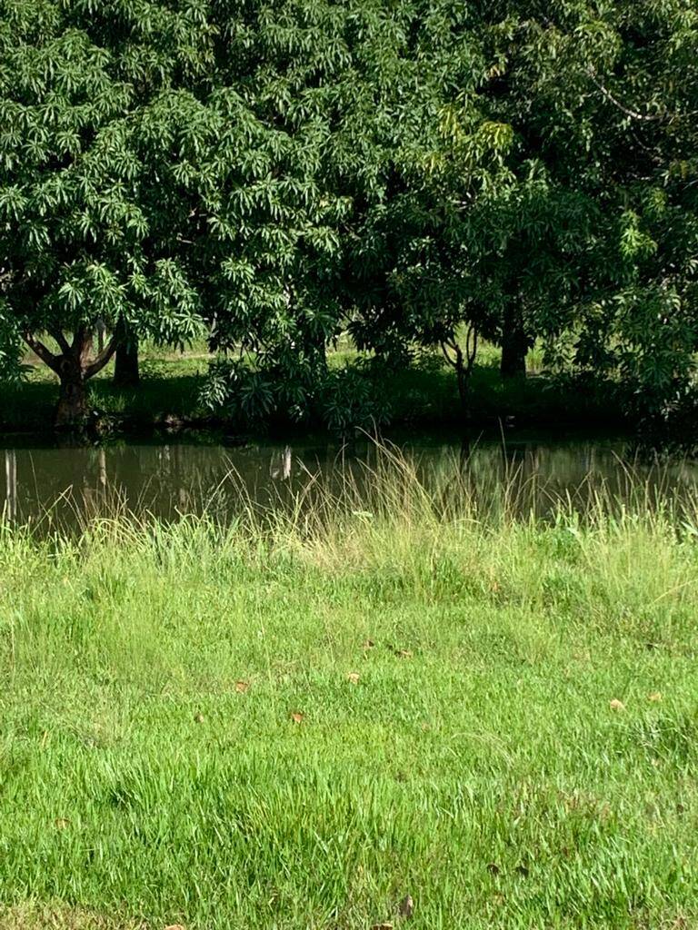 Sítio, 3 quartos, 1 hectares - Foto 1