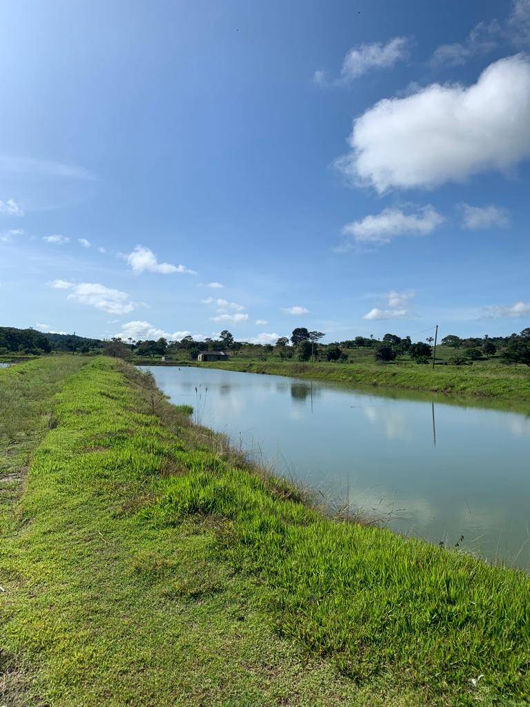 Sítio, 3 quartos, 1 hectares - Foto 3