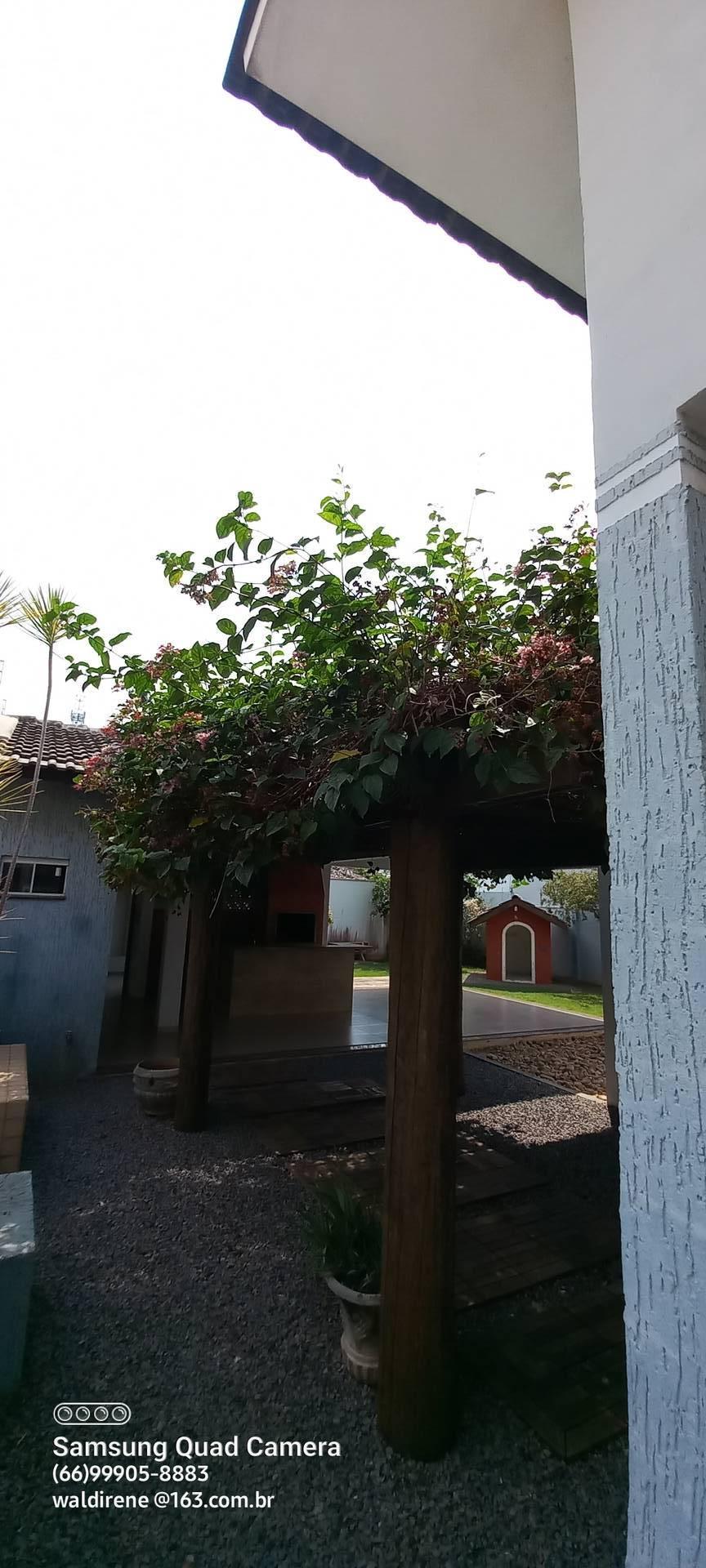 Casa à venda e aluguel com 3 quartos, 219m² - Foto 63