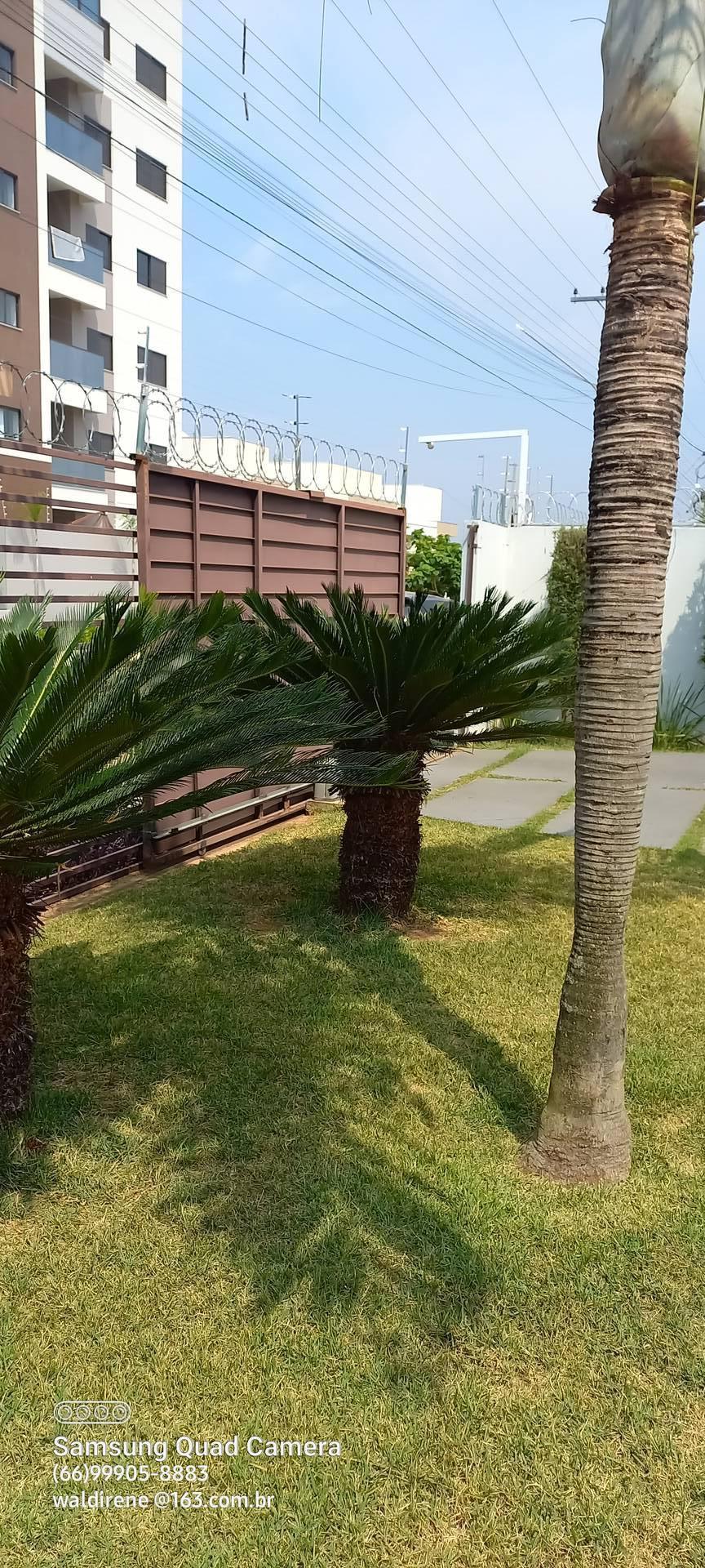 Casa à venda e aluguel com 3 quartos, 219m² - Foto 2