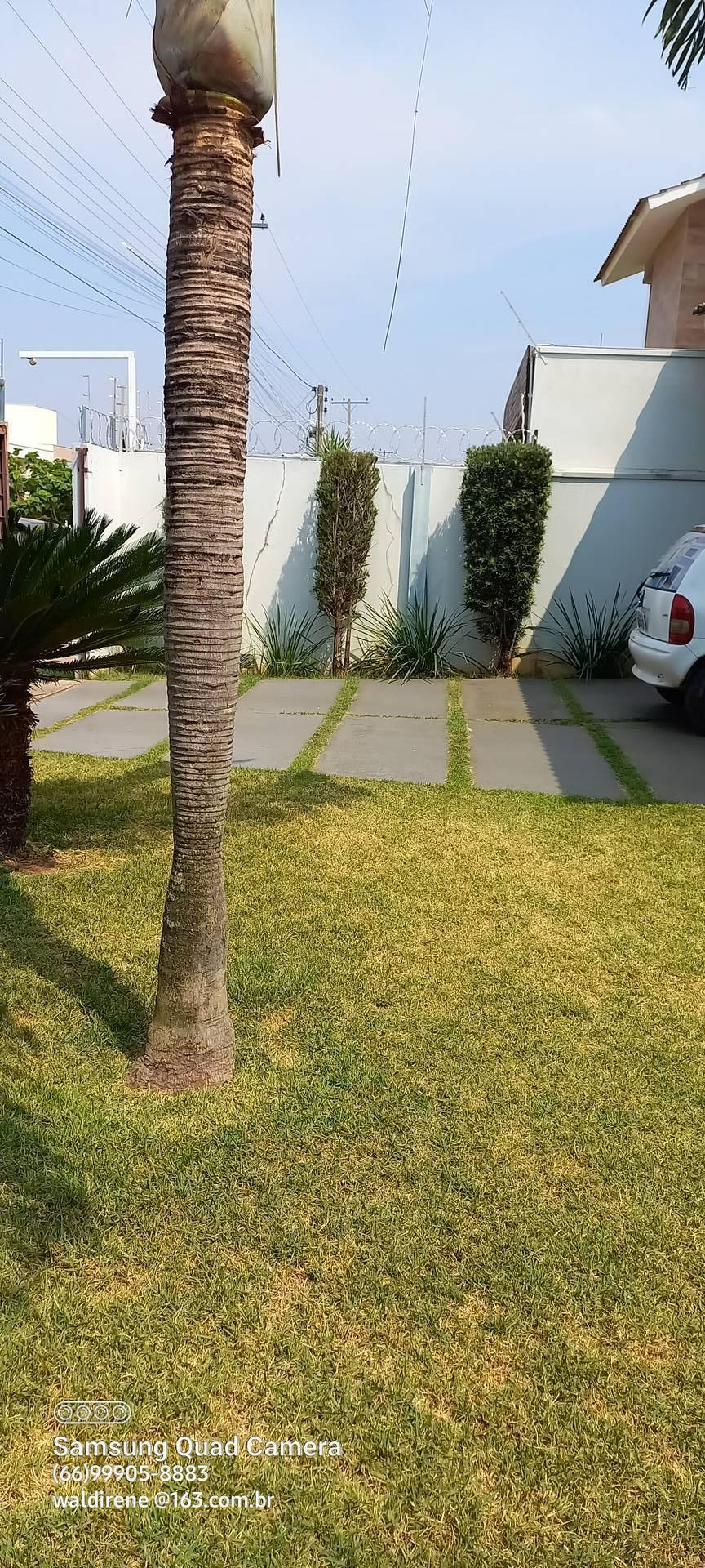 Casa à venda e aluguel com 3 quartos, 219m² - Foto 90