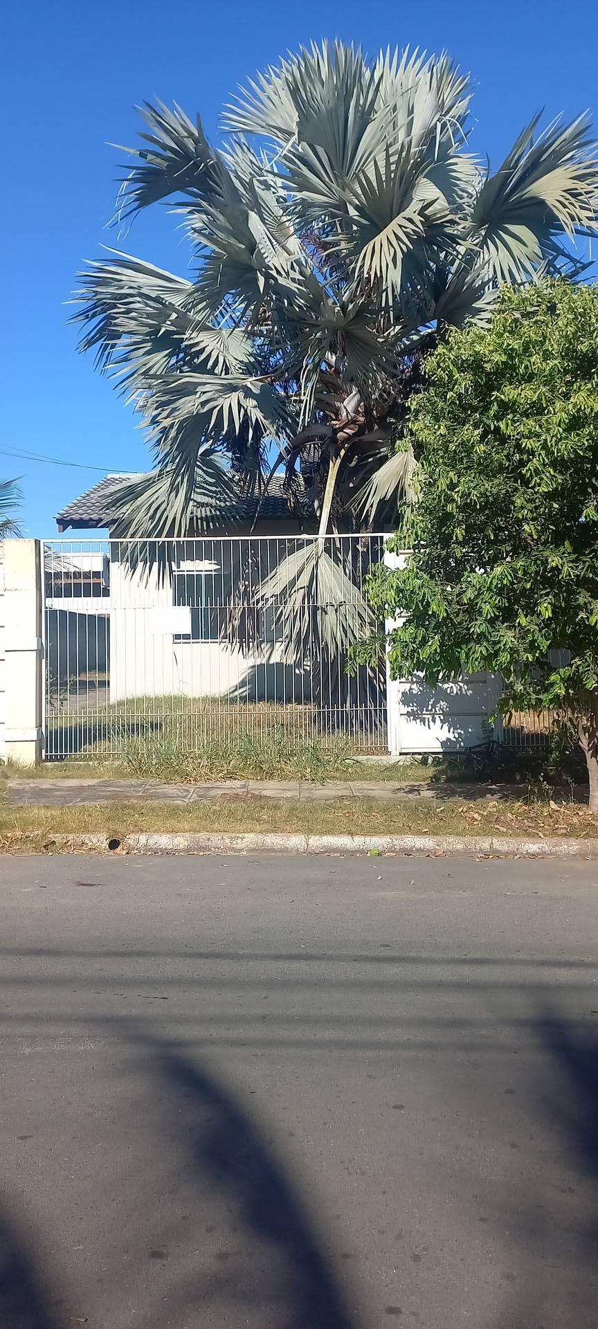 Casa, 3 quartos, 217 m² - Foto 2