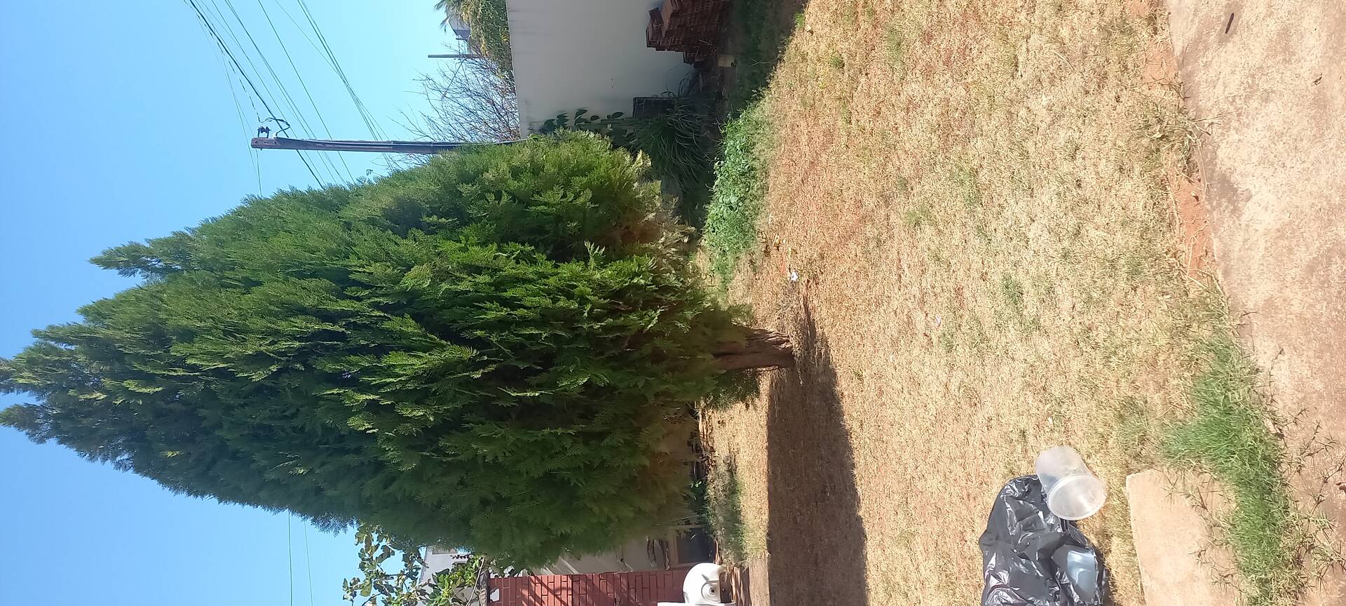 Casa à venda e aluguel com 3 quartos, 1224m² - Foto 39