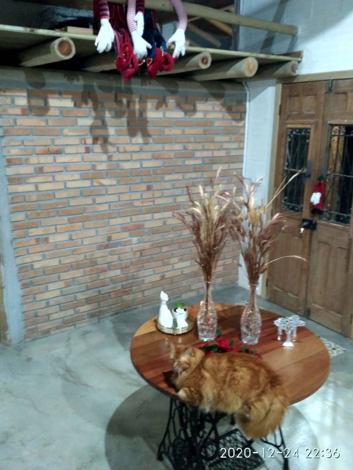 Chácara, 3 quartos, 2100 m² - Foto 5