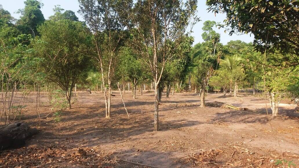 Terreno, 383 m² - Foto 43