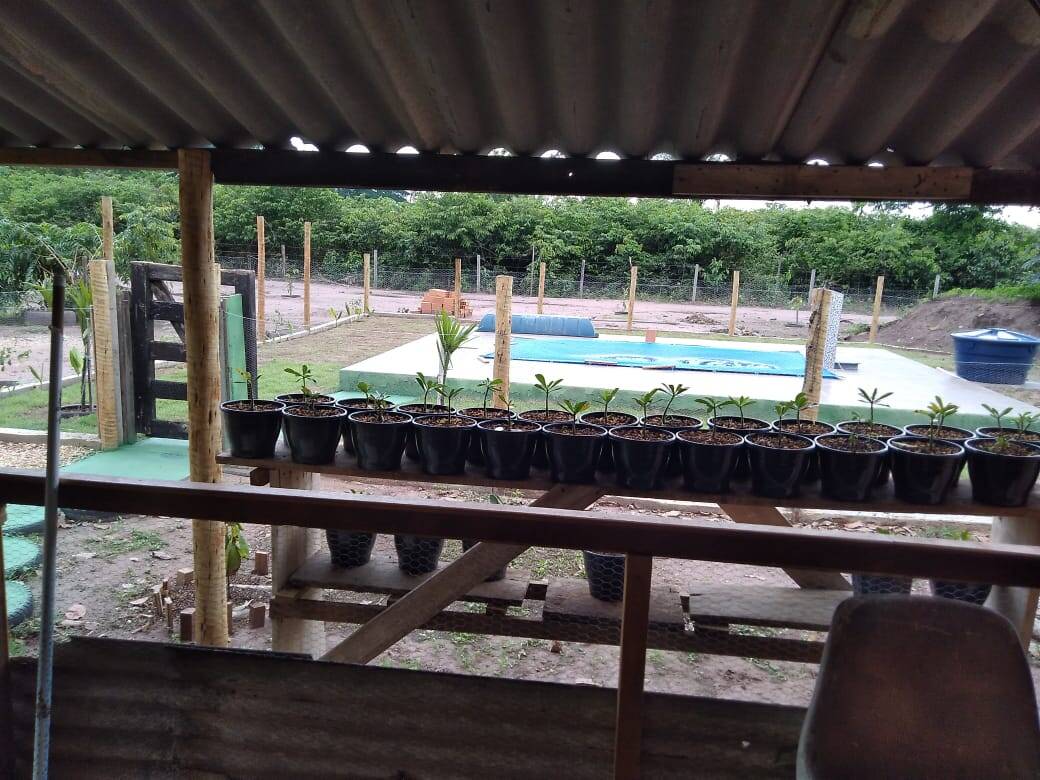 Terreno, 383 m² - Foto 50