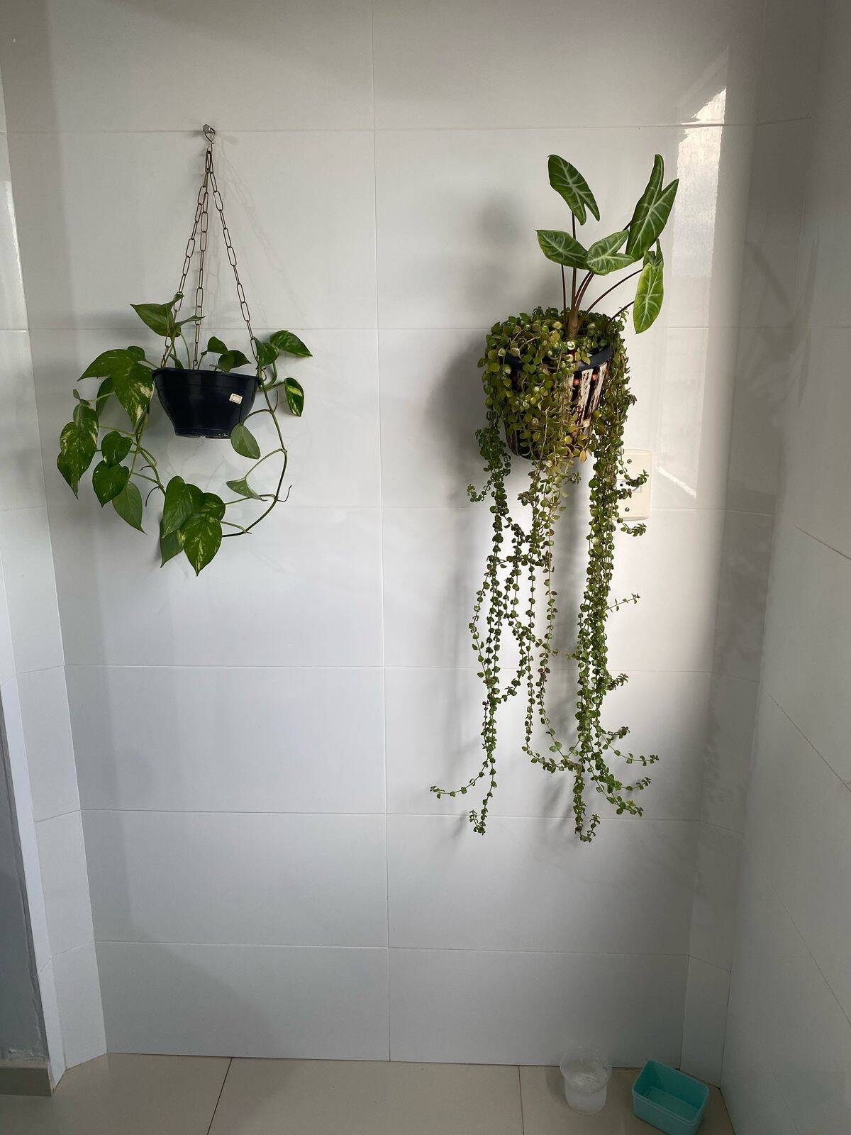 Casa de Condomínio, 2 quartos - Foto 2