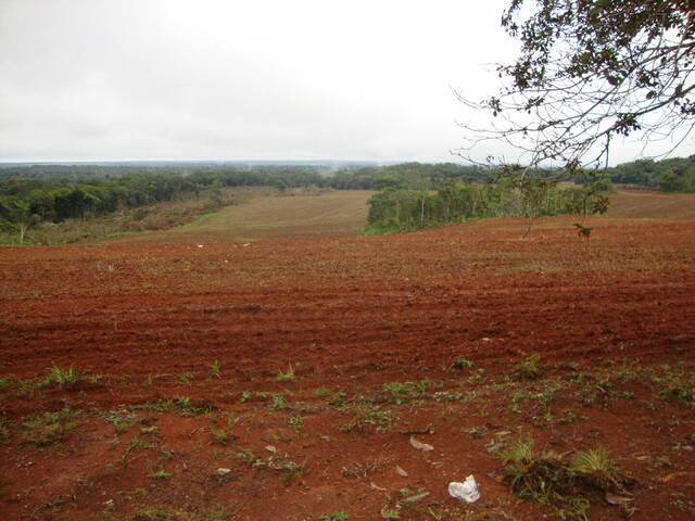 #71 - Fazenda para Venda em Sorriso - MT - 1