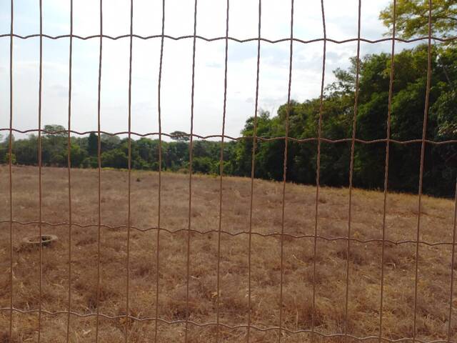 #132 - Terreno para Locação em Sorriso - MT - 2