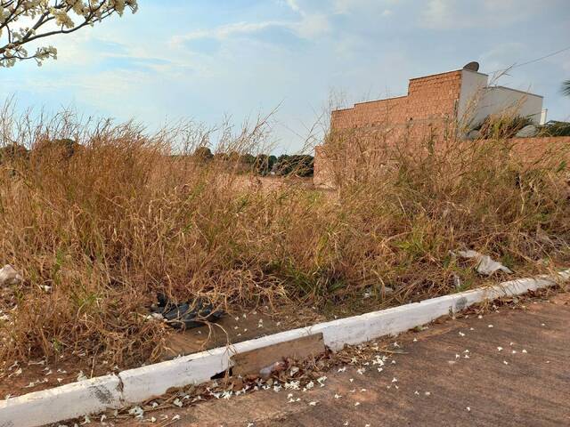 Terreno para Venda em Sorriso - 5