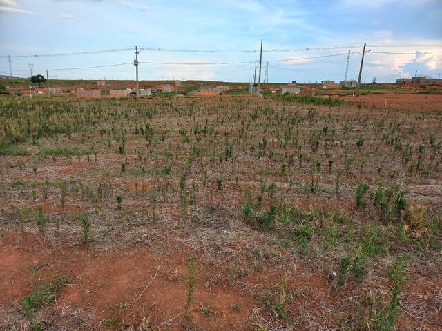 #161 - Terreno para Venda em Sorriso - MT - 1