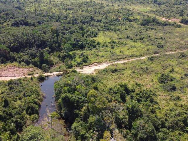 #174 - Fazenda para Venda em Nova Bandeirantes - MT - 2