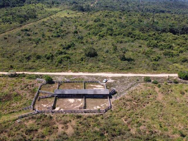 #174 - Fazenda para Venda em Nova Bandeirantes - MT - 3