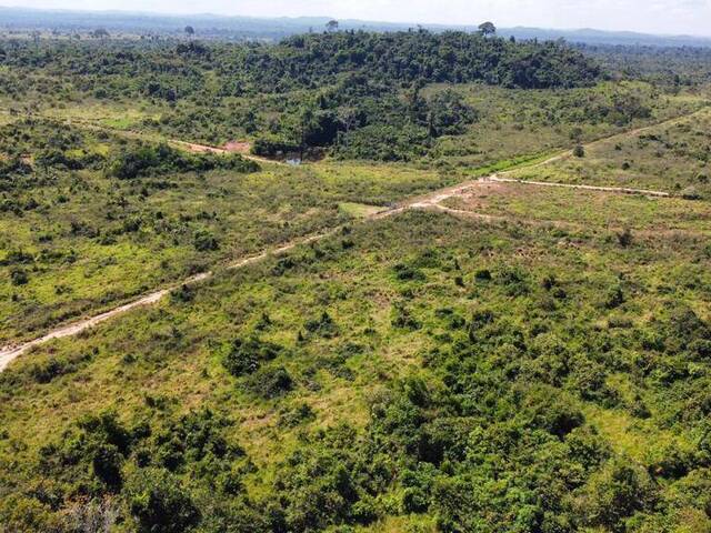 #174 - Fazenda para Venda em Nova Bandeirantes - MT - 1