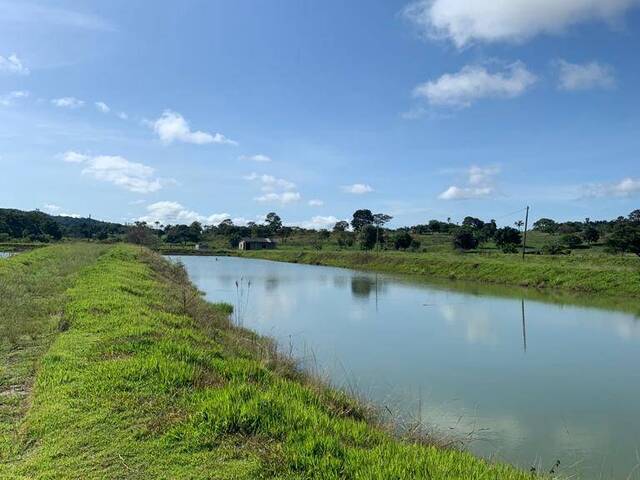 #239 - Sítio para Venda em Terra Nova do Norte - MT - 2