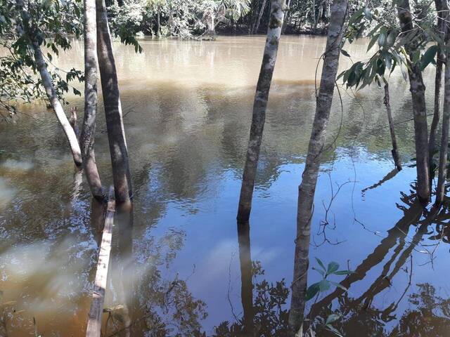 #241 - Chácara para Venda em Itanhangá - MT - 2