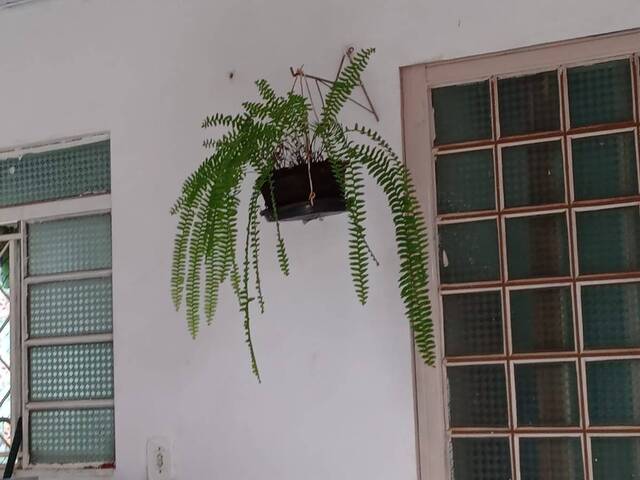 Venda em Jardim América - Sorriso