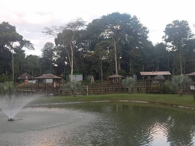 Venda em Área Rural de Sorriso - Sorriso