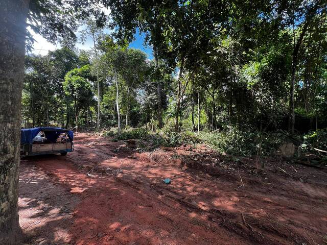 Venda em Área Rural de Sorriso - Sorriso