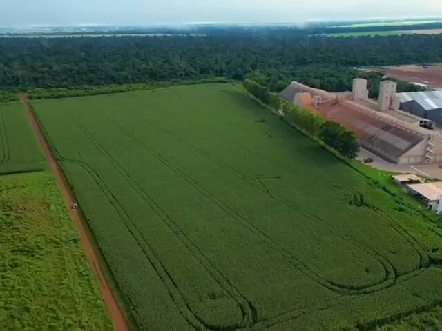 Área para Venda em Sinop - 5