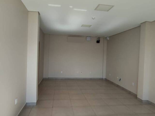 Sala para Locação em Sorriso - 5